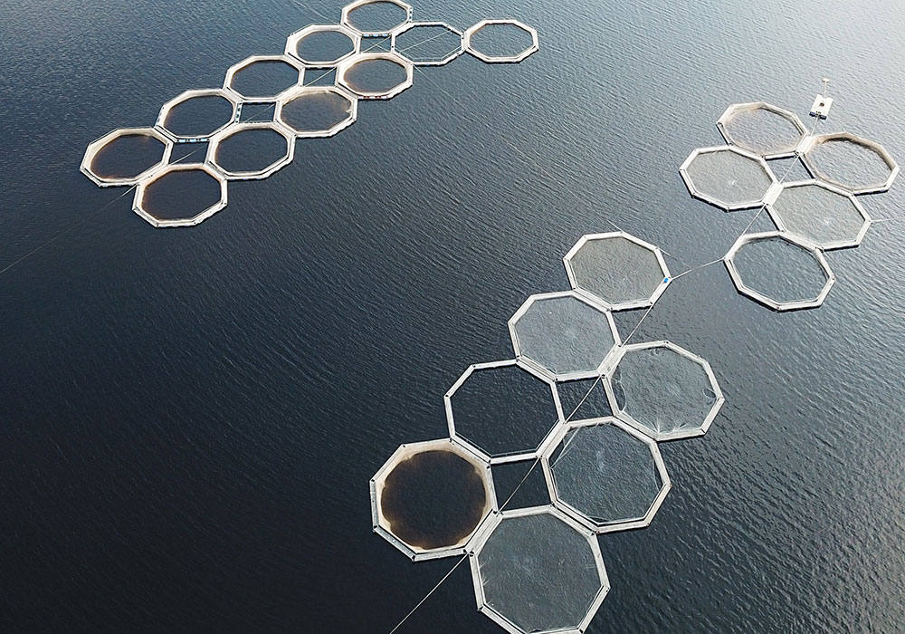 Aquaculture